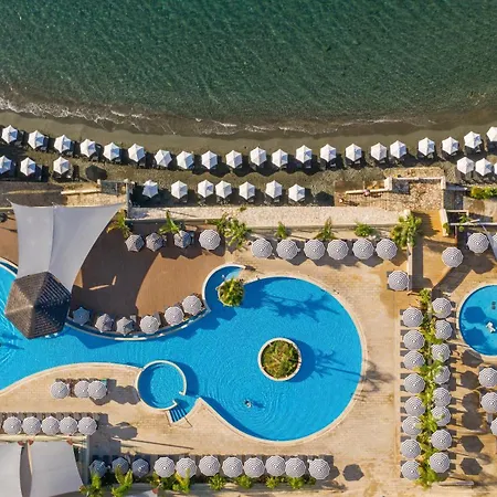 Royal Apollonia By Louis 5* Limassol