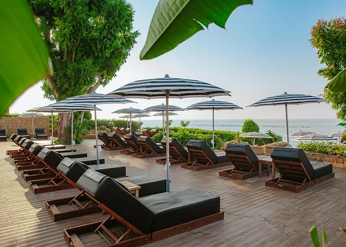 Royal Apollonia By Louis Limassol